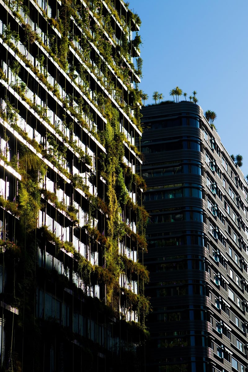 Vertical Garden Plant Tips